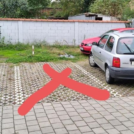 אוסילק Apartment Roko מראה חיצוני תמונה